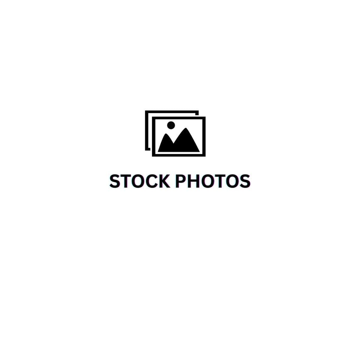 description of picture 1